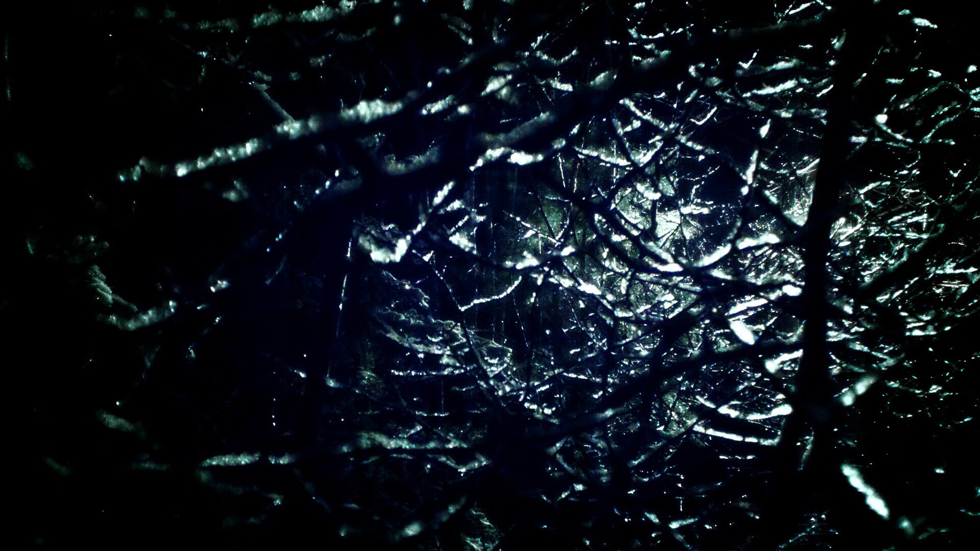 广州“篮球+青春”青少年活动月正式启动，广州市青少年篮球联盟