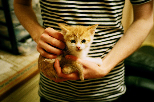 AYX SPORTS-_飞盘运动嘉年华：趣味合作的极致体验_，飞盘运动比赛