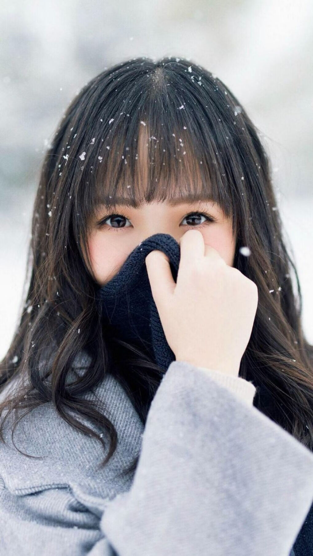 AYX GAMING-“德甲联盟进入关键阶段，冠军争夺再度升级”，德甲冠军次数排名最新