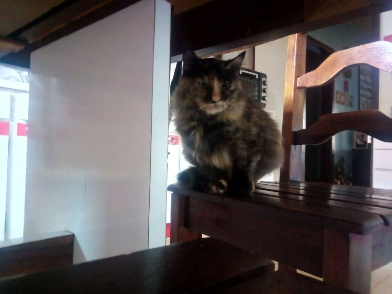 爱游戏综合娱乐-意甲：年轻潜力股频繁转会，未来可持续发展，意甲最年轻球队